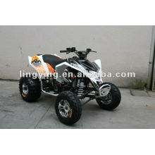 EEC ATV 300cc cuatriciclos bicicletas en venta (Mad Max)